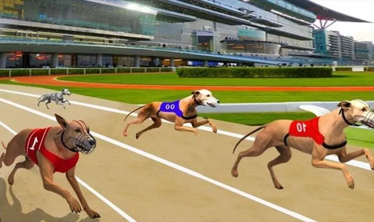 Cách Chơi Game Nhanh Đua Chó Tại AE888 Để Tăng Tỷ Lệ Thắng 2 Cách chơi game nhanh Đua Chó Tại AE888